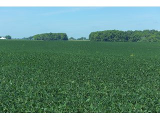 Farmland in Fulton & Marshall Counties, Indiana - LAND AUCTION - 541.3+/- ACRES IN 9 TRACTS IN FULTON & MARSHALL COUNTIES, INDIANA